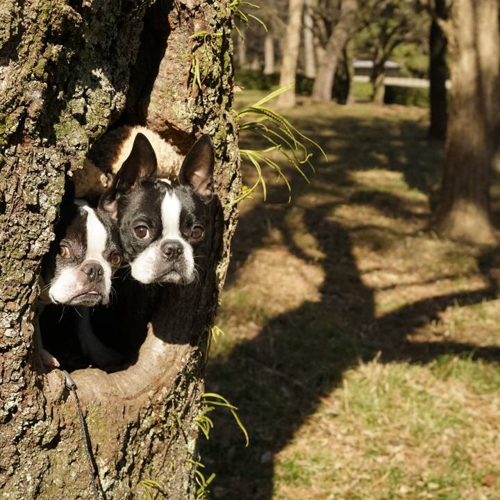 50fa69ea cfed 45df 8356 5783a081cbc2 1517740456993