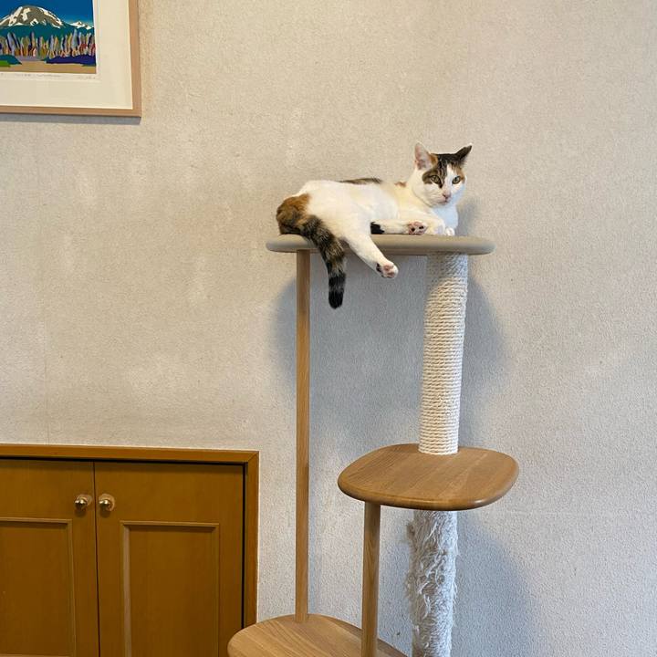 50fa6d0a 511a 4ee5 ae1c 3f81dc84a455 1770523000954