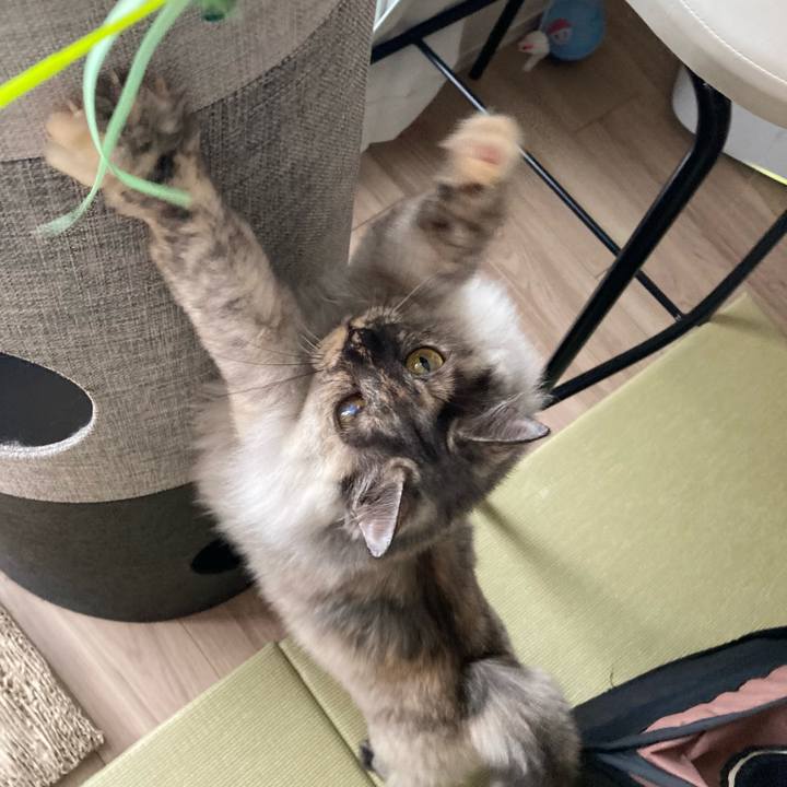 50fa822a ac71 40e0 83ed 15596c4c9cb4 1730775157472