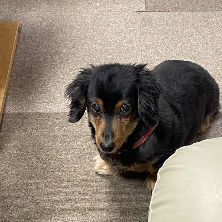 50faaf62 3ca1 48c0 82dd f463788c68b9 1612303250567