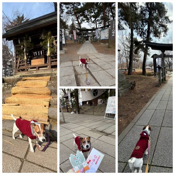 50fab69e 3614 40c9 8ad7 39f1186cb955 1767614417952