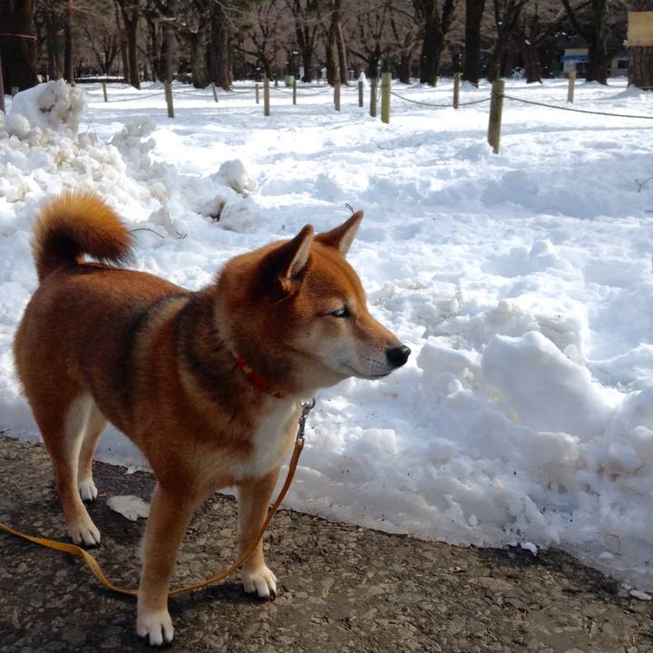 50fad942 c916 4c00 8348 b87728e46d89 1516952640896