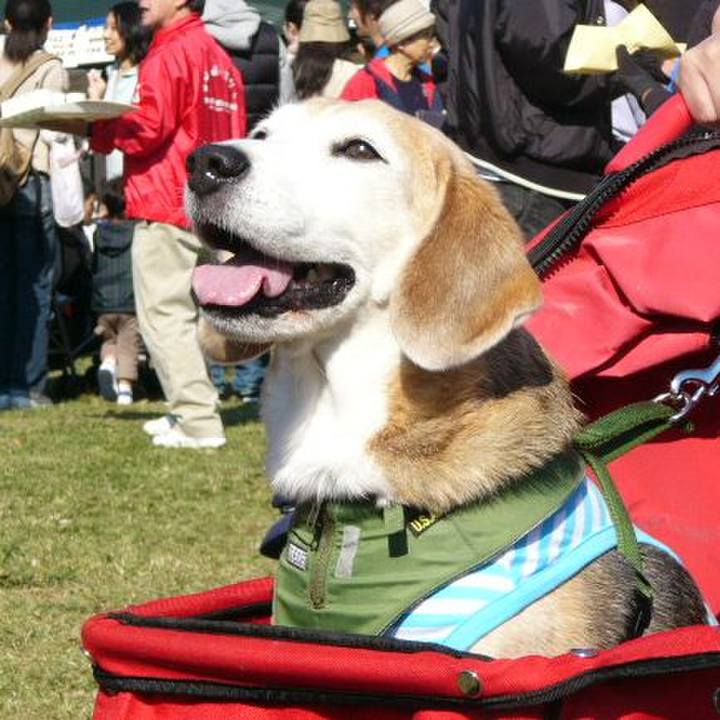 50faeccd 2946 4792 9330 938d0bccb367 1670720475910