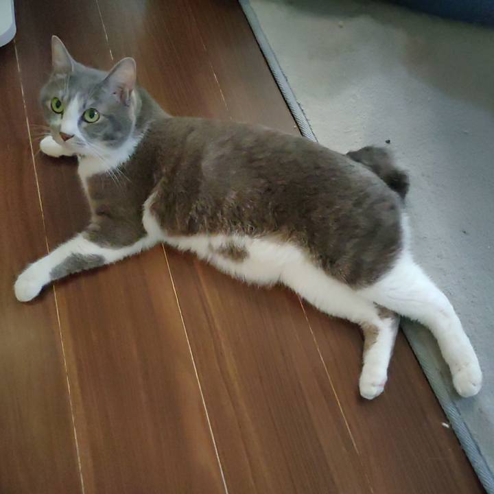 50fb19f7 4068 4ea7 97df 8982c3f99400 1688334757056