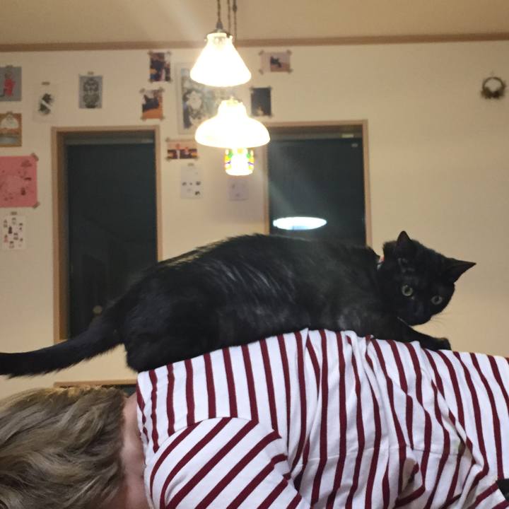 50fb37d3 ecec 4374 b9ba 1d4b63b9d459 1558019190379