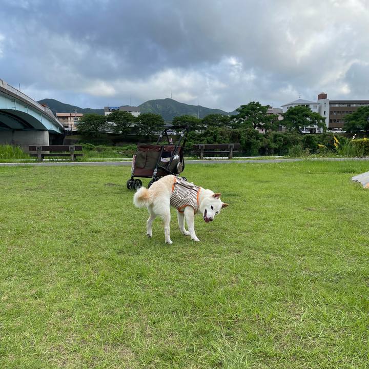 50fb3d92 3944 4bd7 bc0c 6f641ebba958 1656404983476