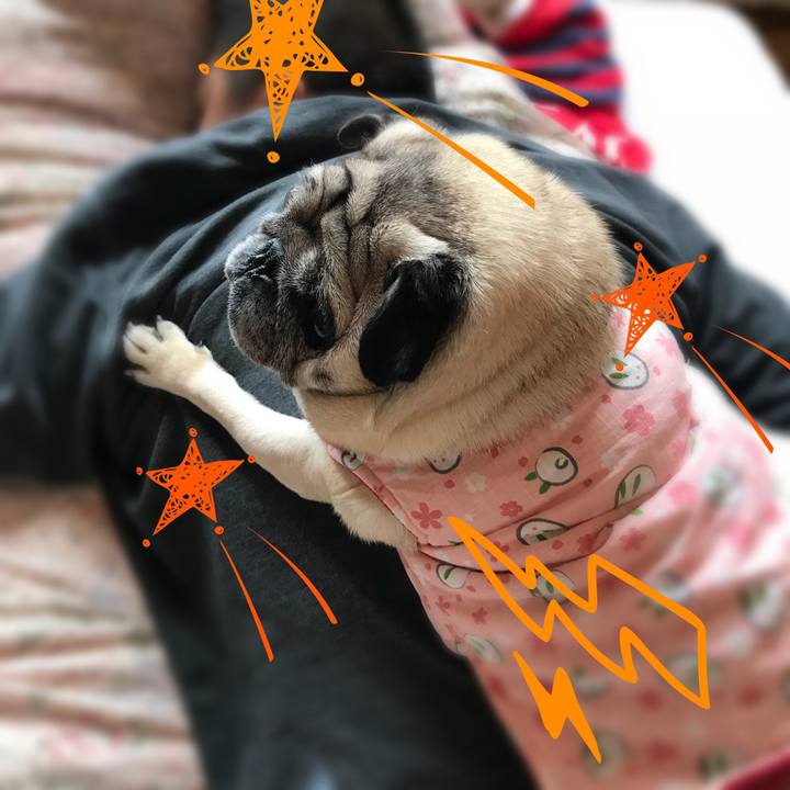 50fb4290 92e3 4bef 88c8 ab25f3b8fd3e 1518660245862