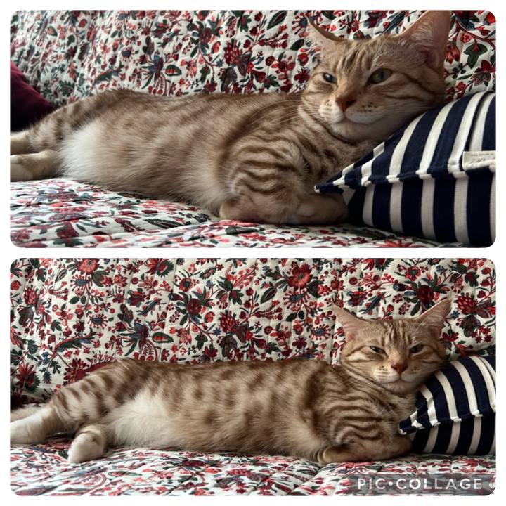 50fb8982 e535 4a84 a5ca 8bd6608f6609 1683423344489