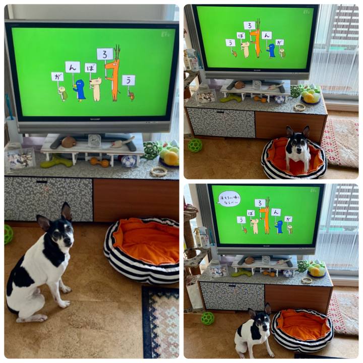 50fb91a3 b6ce 43ed b81b 91f573318c30 1582841366463