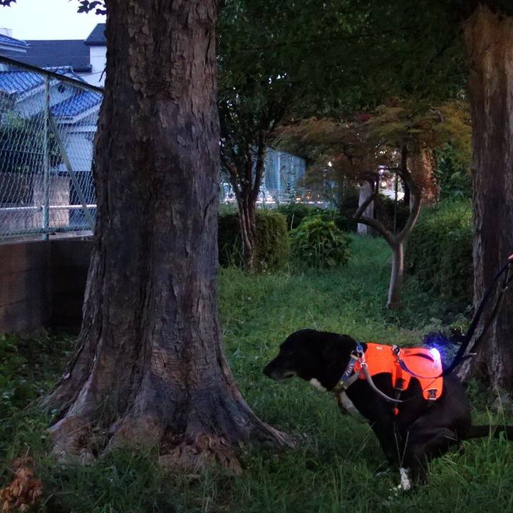 50fb9385 7d9d 4ac2 9546 5fb0bd015839 1723115190263