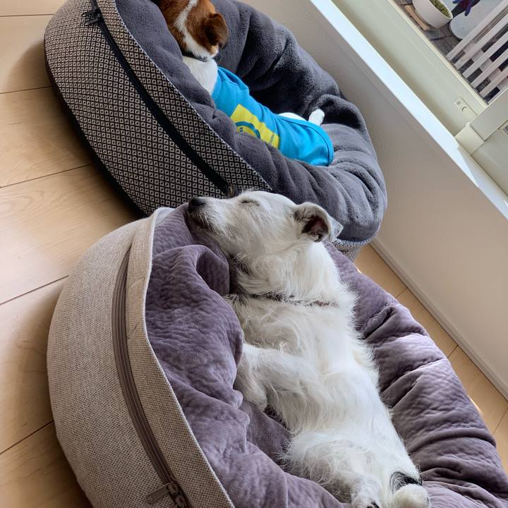 50fbac6d f659 42bd be63 4452a8226925 1619758773223