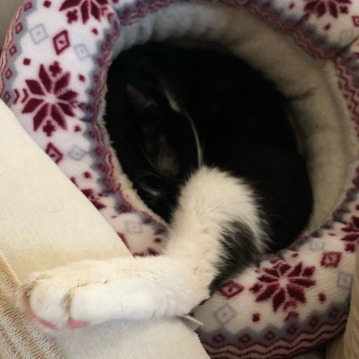 50fbb37b 7d66 4b9f 8f3c 4eeb9373f791 1606268989358