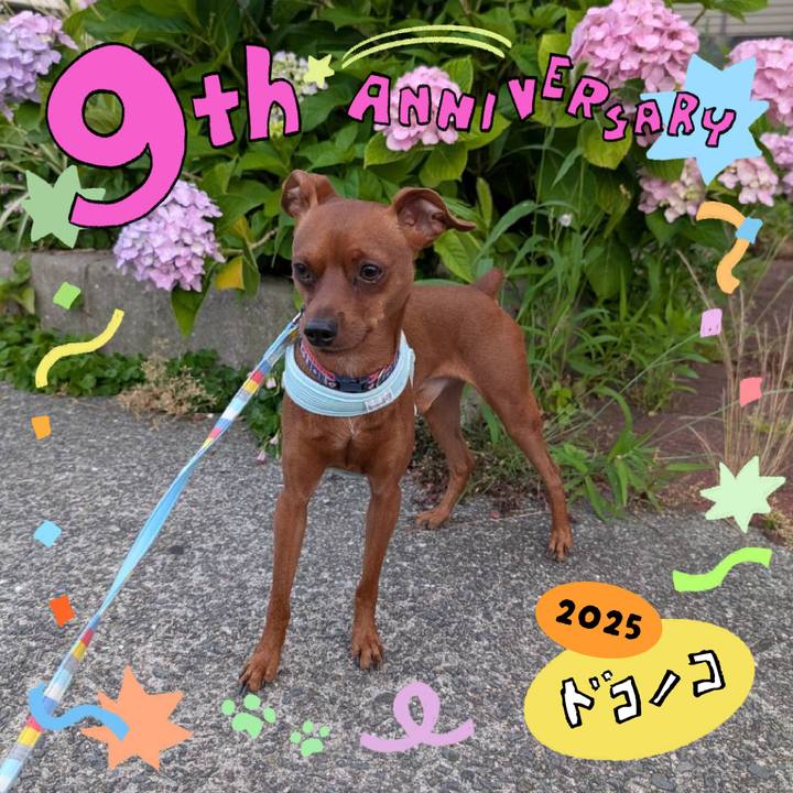 50fbe8ef 4f1e 4f96 a8b4 415d232c6d1b 1749308673671