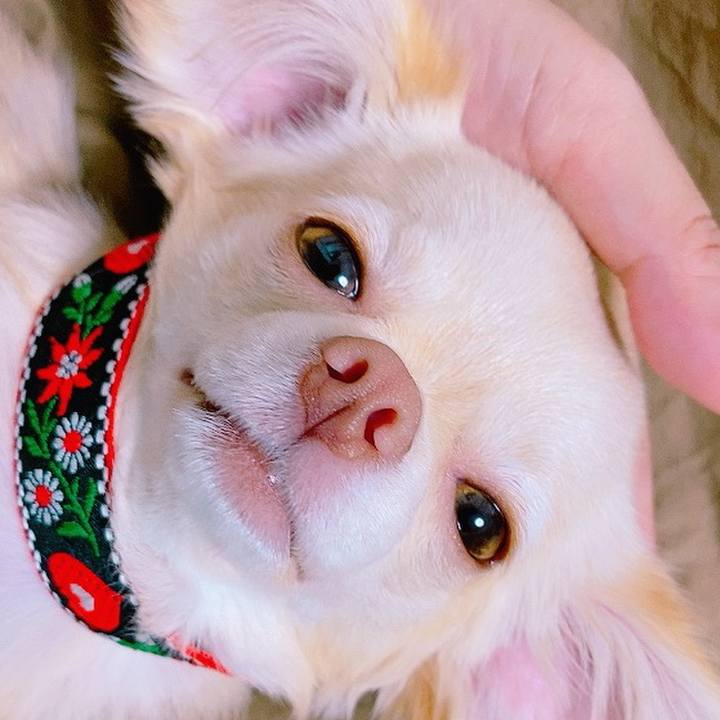 50fc08d4 51f5 4a53 acc6 4d115a1c1d2d 1630467430991