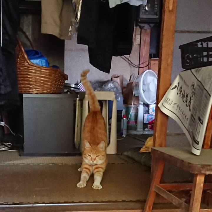 50fc1255 030a 456c b64d 81a6b8fdbfe1 1593421763530