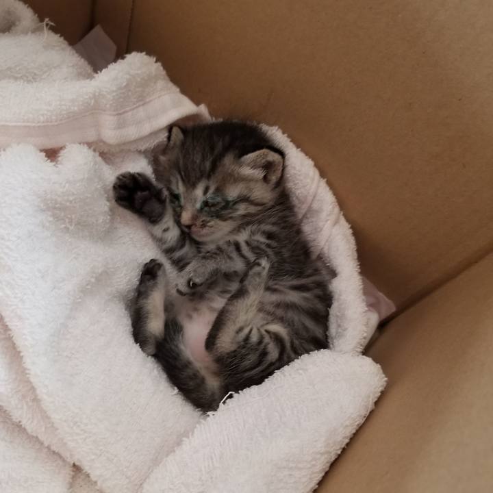 50fc25ff 878d 4ed8 b690 ac222947add0 1659694608217