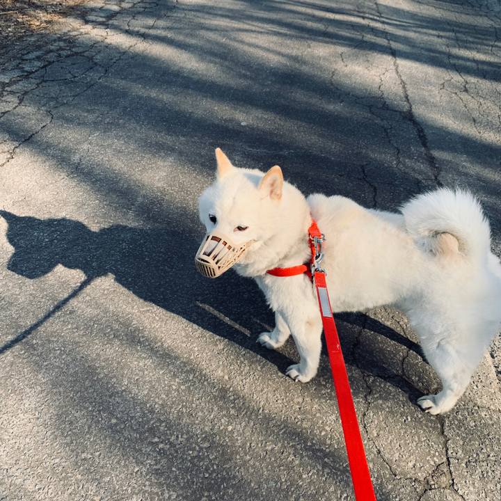 50fc2b6c 10bb 46cd 927c b1e992f66b85 1585467773437