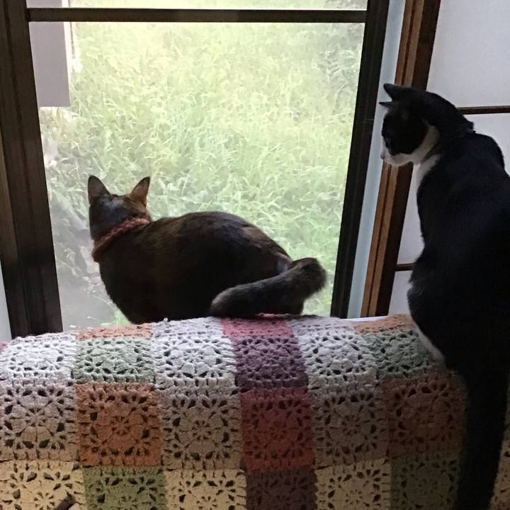 50fc3d29 7979 4b7a 9d76 1576a1d98233 1632394172412