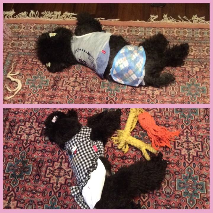 50fc7315 41dd 4263 ad79 b6aea9cd1f9d 1525007631796