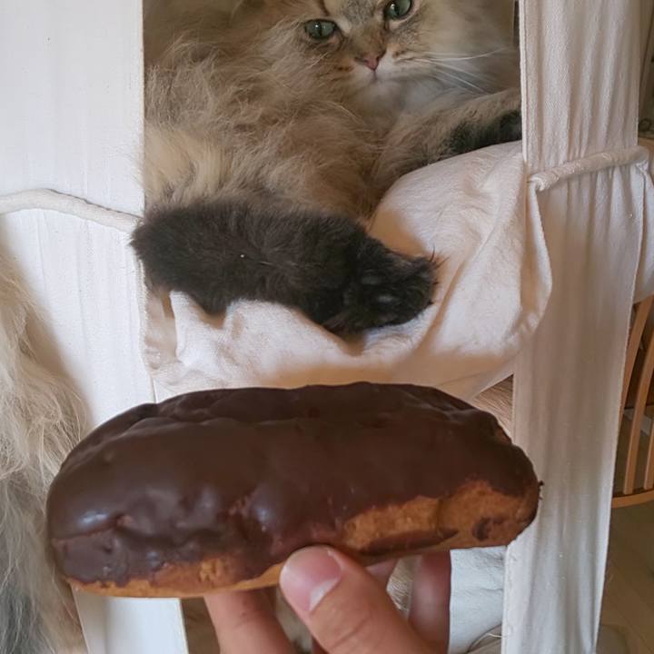 50fc7d00 f7e2 49ab 9169 0a262d5574ba 1584667907424