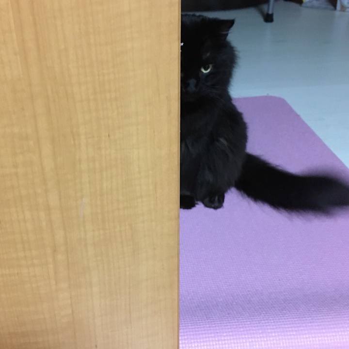 50fcb355 edc0 4fe0 a9ef 8aa8abb8cd55 1515602883680