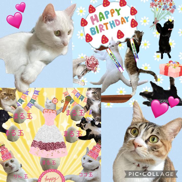 50fcea92 6de0 48e2 80d4 e69be5301127 1680940706111