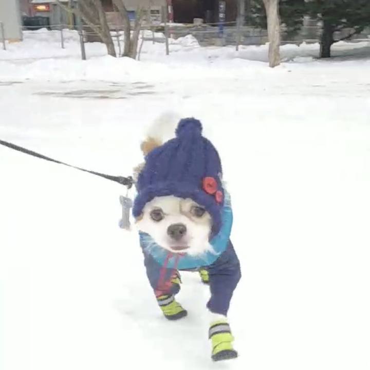 50fced04 7808 4a16 90a3 9471b0574920 1674572258344