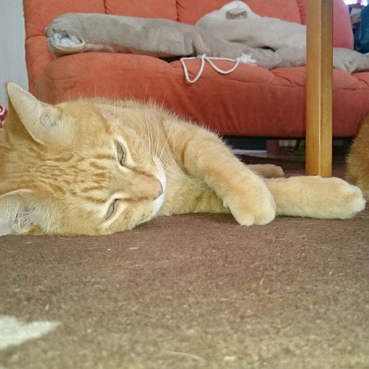 50fd27c5 bd11 4659 bf5f d7e68044bdac 1524531623310