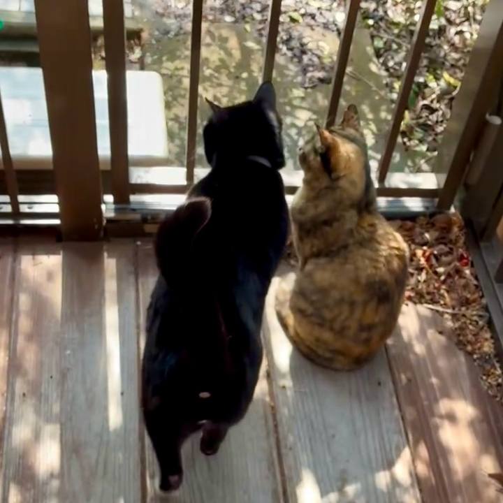 50fd2b06 6553 4049 af30 c2cc3a17f6bb 1773888452638