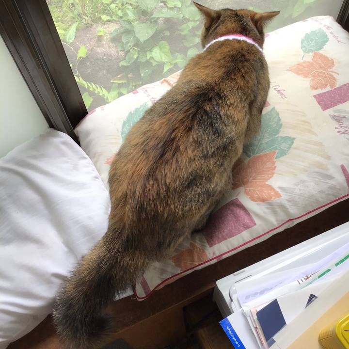 50fd3286 bca6 4450 95d4 745954d77686 1593056568322