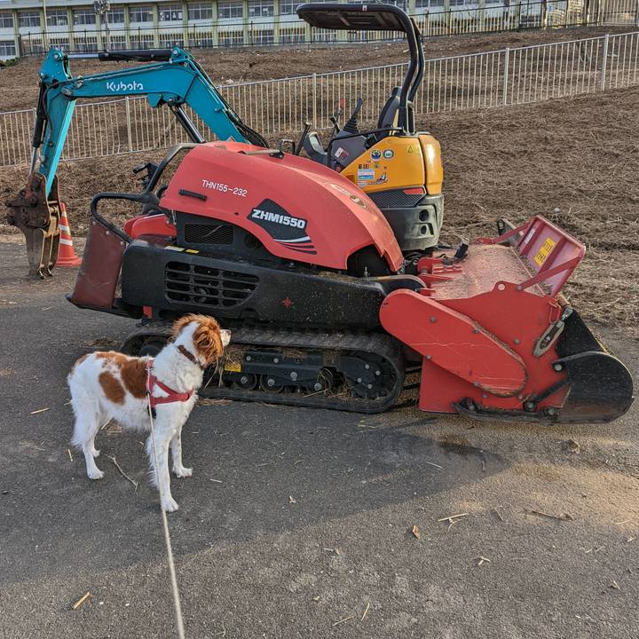 50fd39d3 686b 4d53 8d62 6fdbbb9dd32e 1642030626663