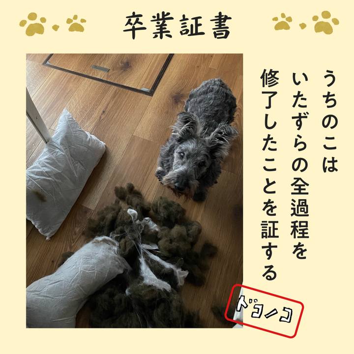 50fd4e5f 7b86 4f39 b526 bfd96376dbe2 1771838416039