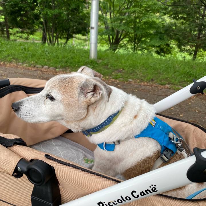 50fd625f 20b6 40fc 8adf c7674b5a2992 1715080339643