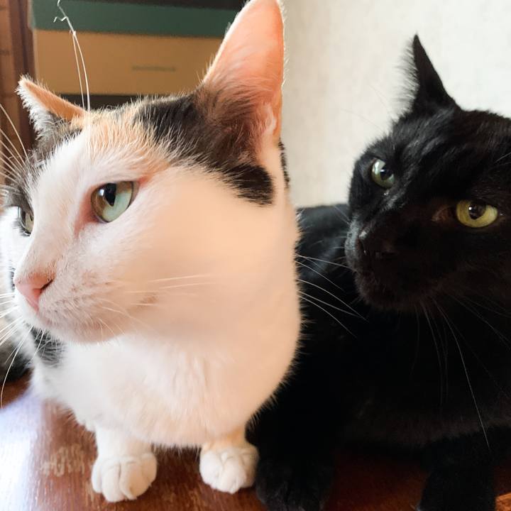 50fd745e 03be 4b89 97d4 1929bbc5db1a 1572748194711