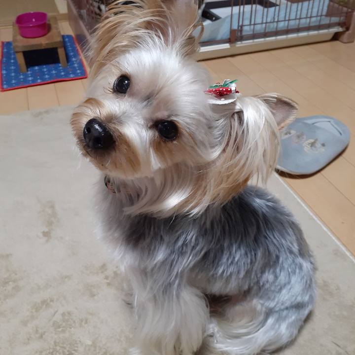 50fdb775 61c1 4ec9 9eeb ccf9599be75d 1576053819130