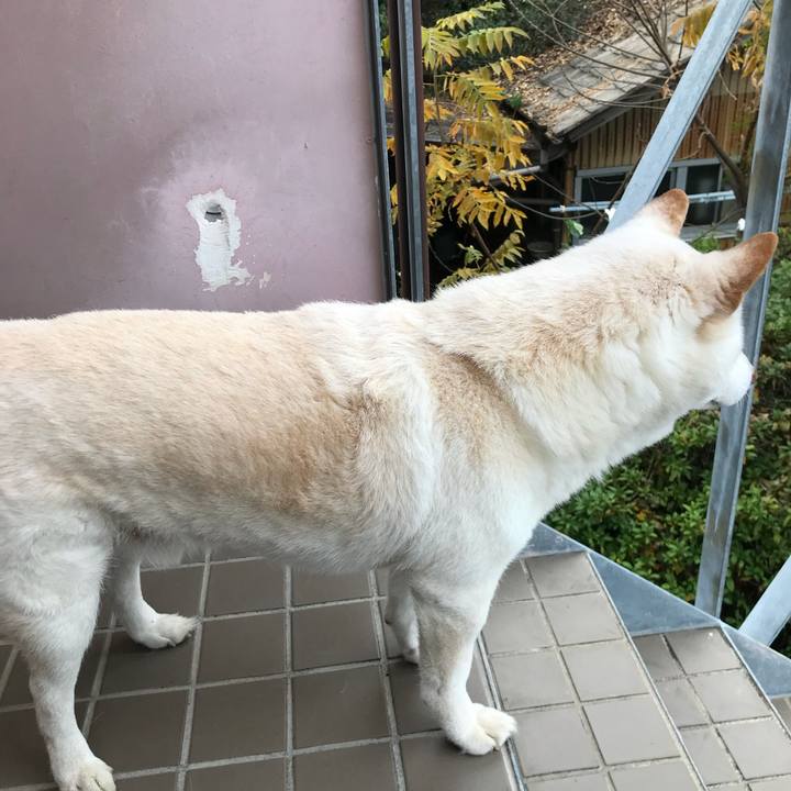 50fdcdc8 513d 4e73 a928 ff7008a83e67 1634202835506