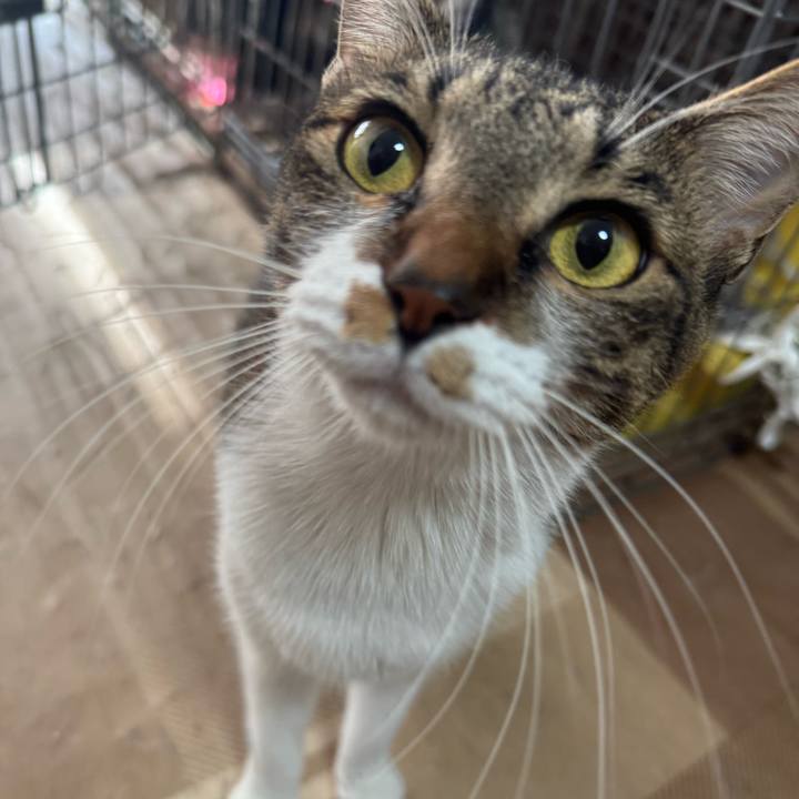 50fde2cc 6c6e 4c52 a950 543665525686 1734755086582