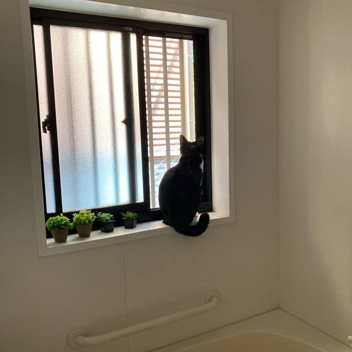 50fde8f5 e02f 49b6 87eb cefb76372b05 1711935165935