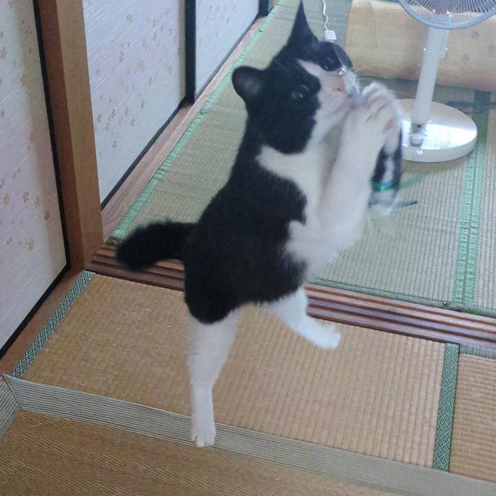 50fdfb11 658f 43a7 b8eb f7bc1ea7f246 1689651527712