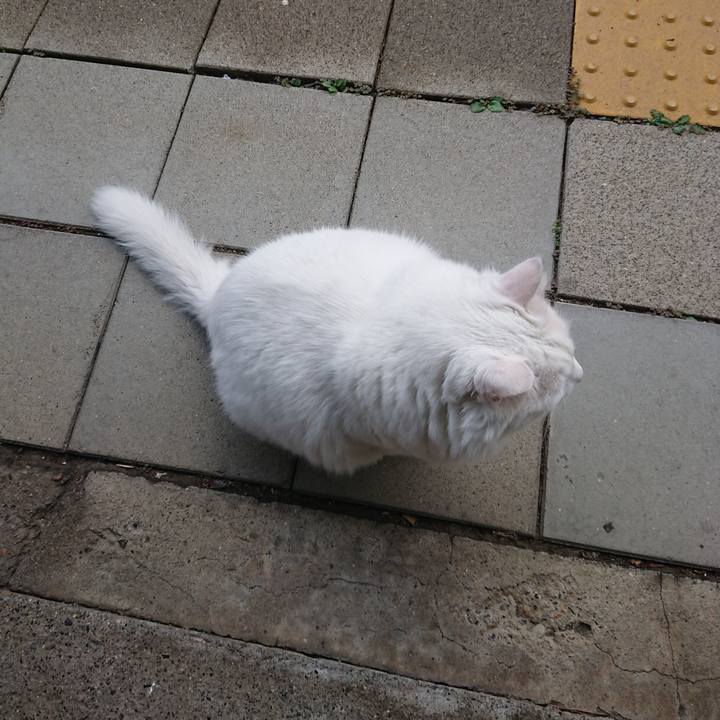 50fe22c6 595f 454a a737 34eb9e8f976a 1570487188319