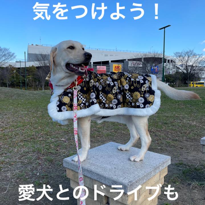 50fe3494 99b0 441c ba80 46978ab3740e 1643103555360