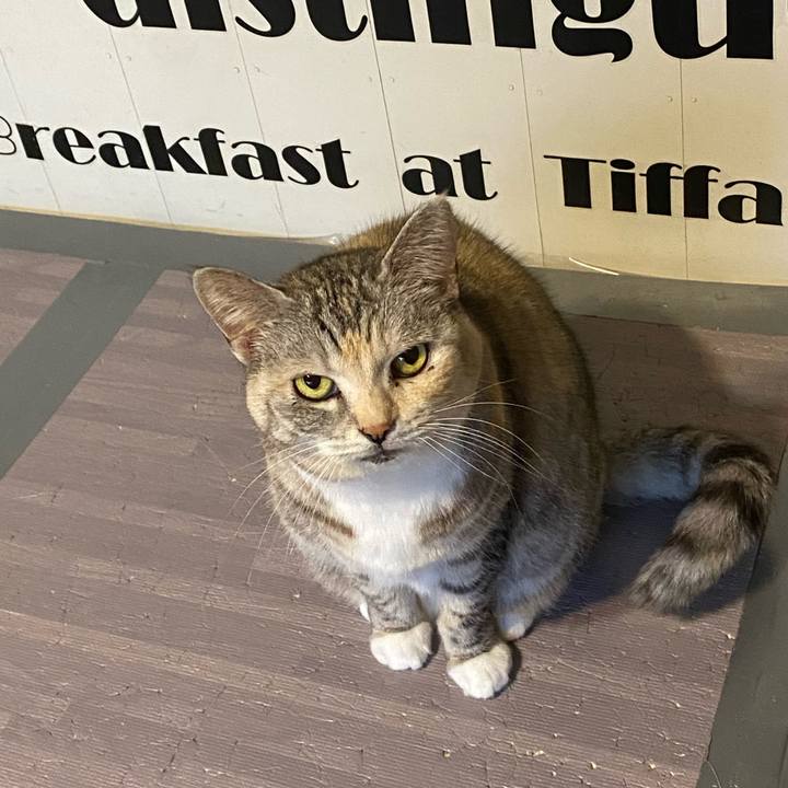 50fe49ab 6f39 467f 9280 fbfa409f048f 1679906663787