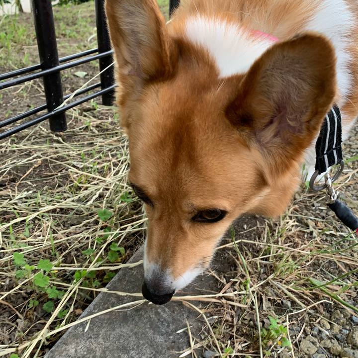 50fe7371 8474 44f0 8452 ce8ab6496459 1591392338928