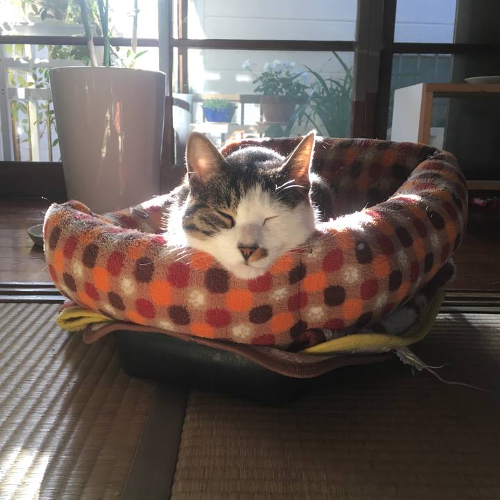 50fef551 c73f 448d 898e e7baec461f38 1544270924565