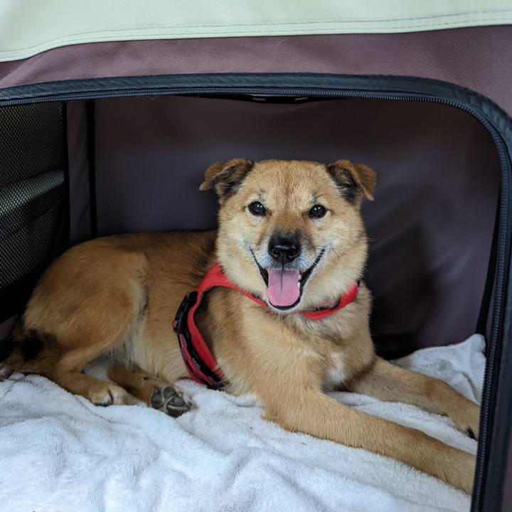 50ff182b a083 48fb a1fe 59dcbd44053f 1662195265045