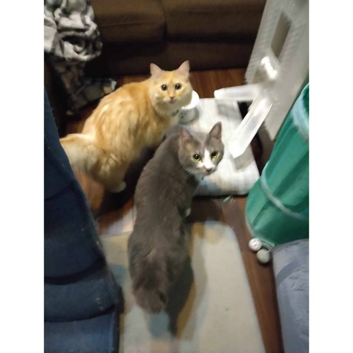 50ff2faa 7ee7 4088 a58a 3b61c33b13ce 1690674222885