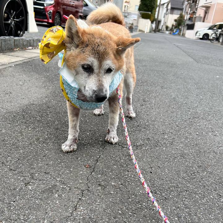 50ff42c0 3249 41a6 9705 d61340fd13aa 1765419028166