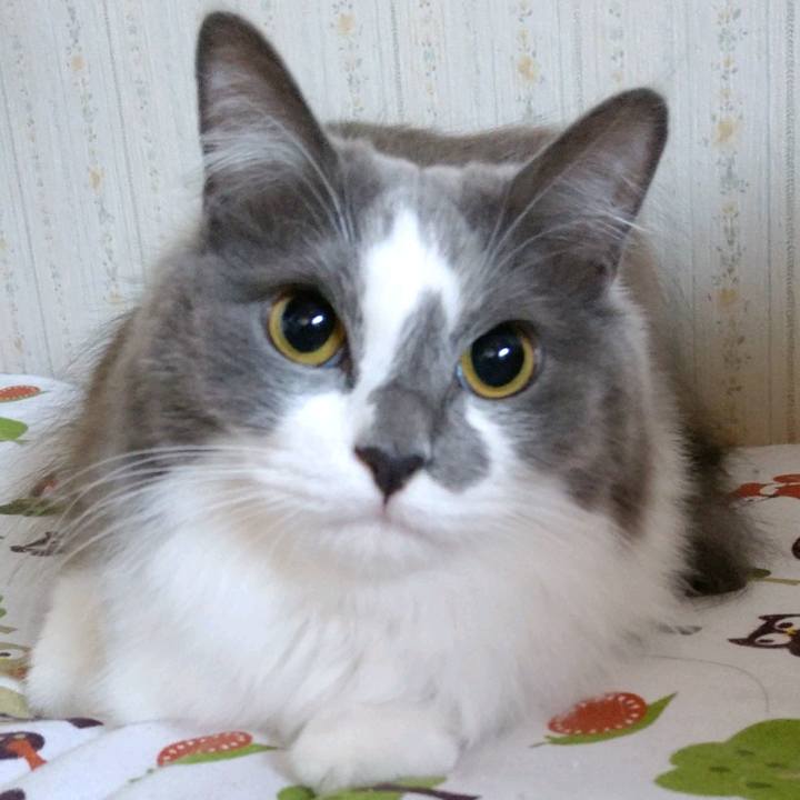 50ff4393 7e0f 4a7c 90ad 64c584797ad2 1608029745566