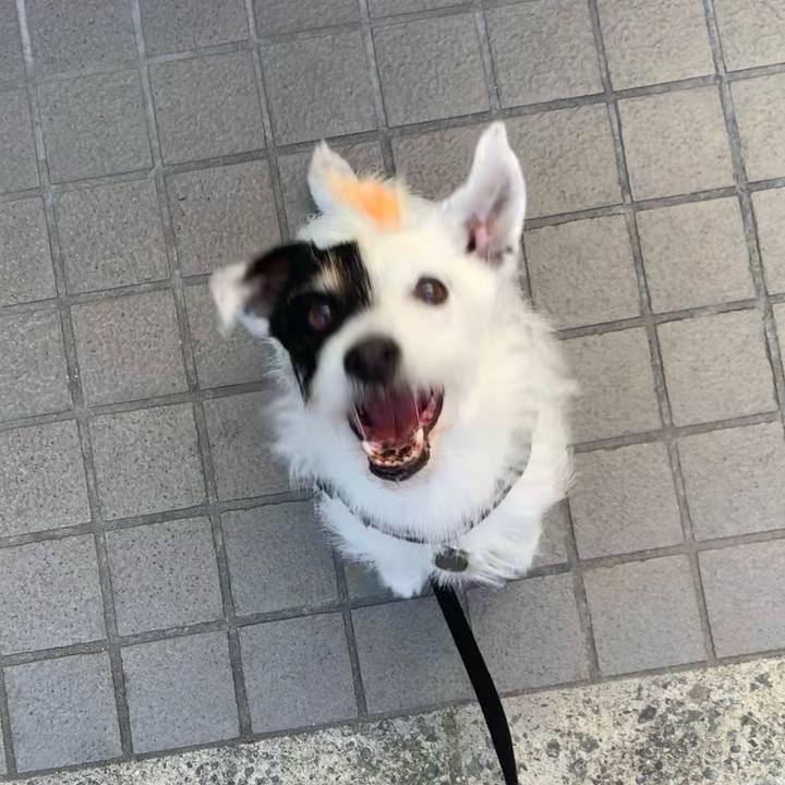 50ff5e89 68c5 4ab4 9d44 5315f9ce8527 1718181398171