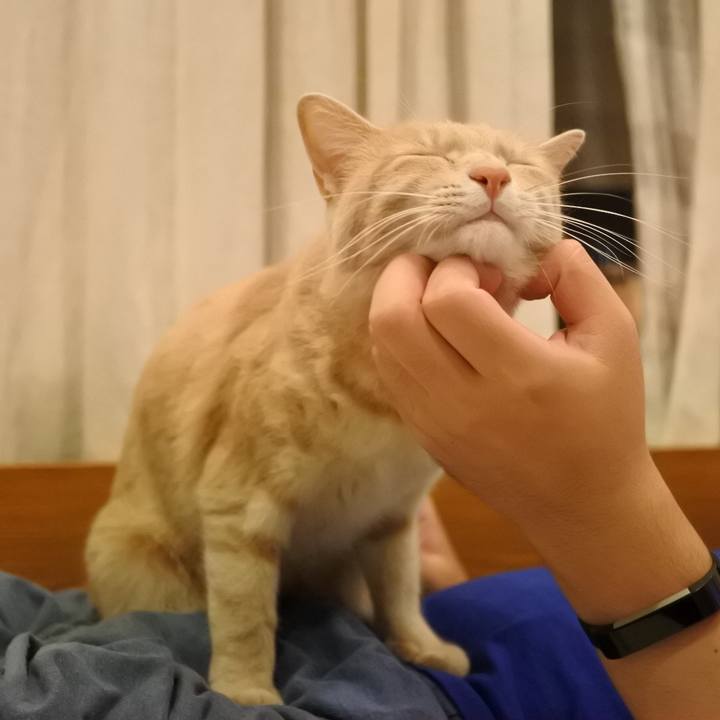 50ff63a7 eaec 4ed0 ae58 e9597eccd935 1592144797223